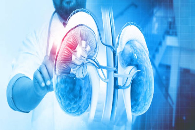 nephrology