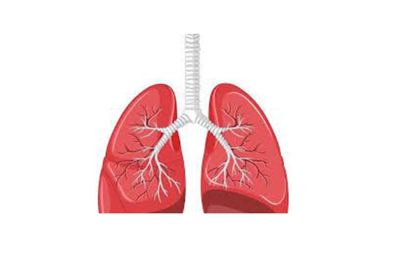 respiratory